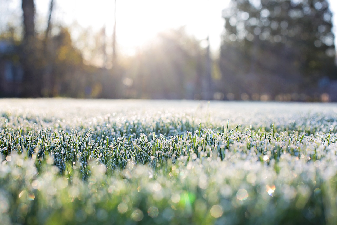 How to Build an Inspiring Morning Ritual